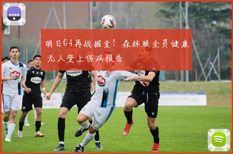 明日G4再战掘金！森林狼全员健康 无人登上伤病报告
