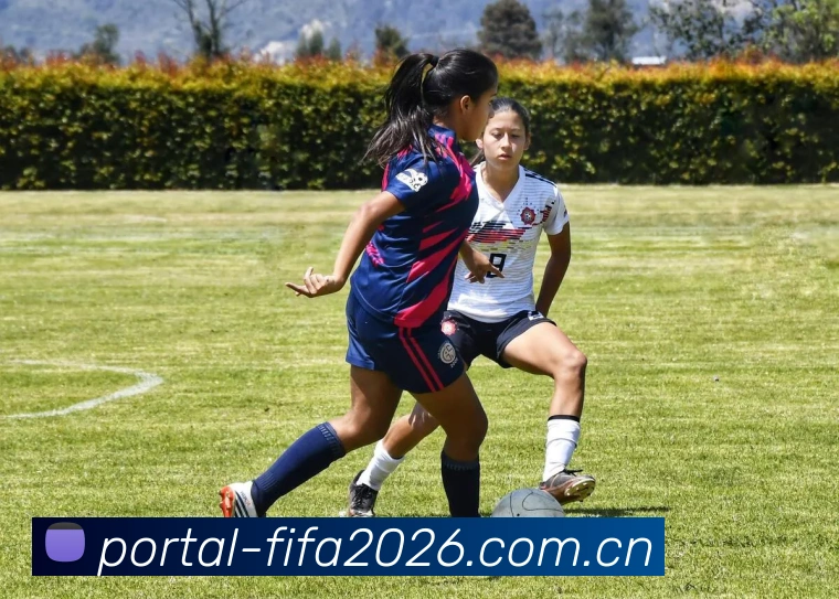 世界杯买球网站品牌故事